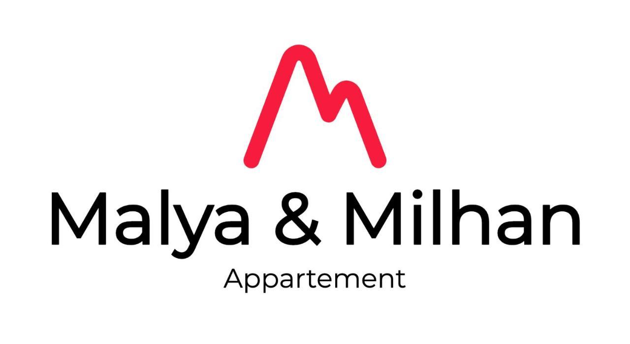 Appartement Milhan Quartier Aigle Championnet Гренобль Экстерьер фото